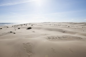 Stockton Sand Dunes